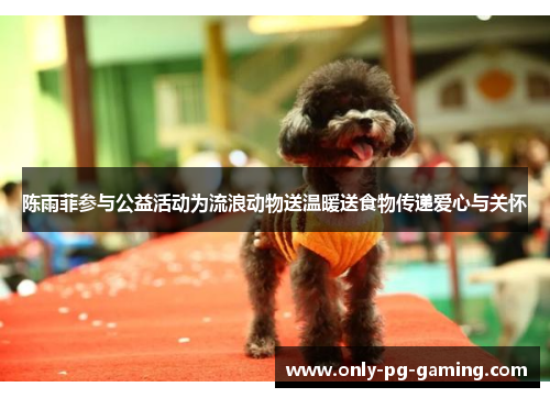 陈雨菲参与公益活动为流浪动物送温暖送食物传递爱心与关怀